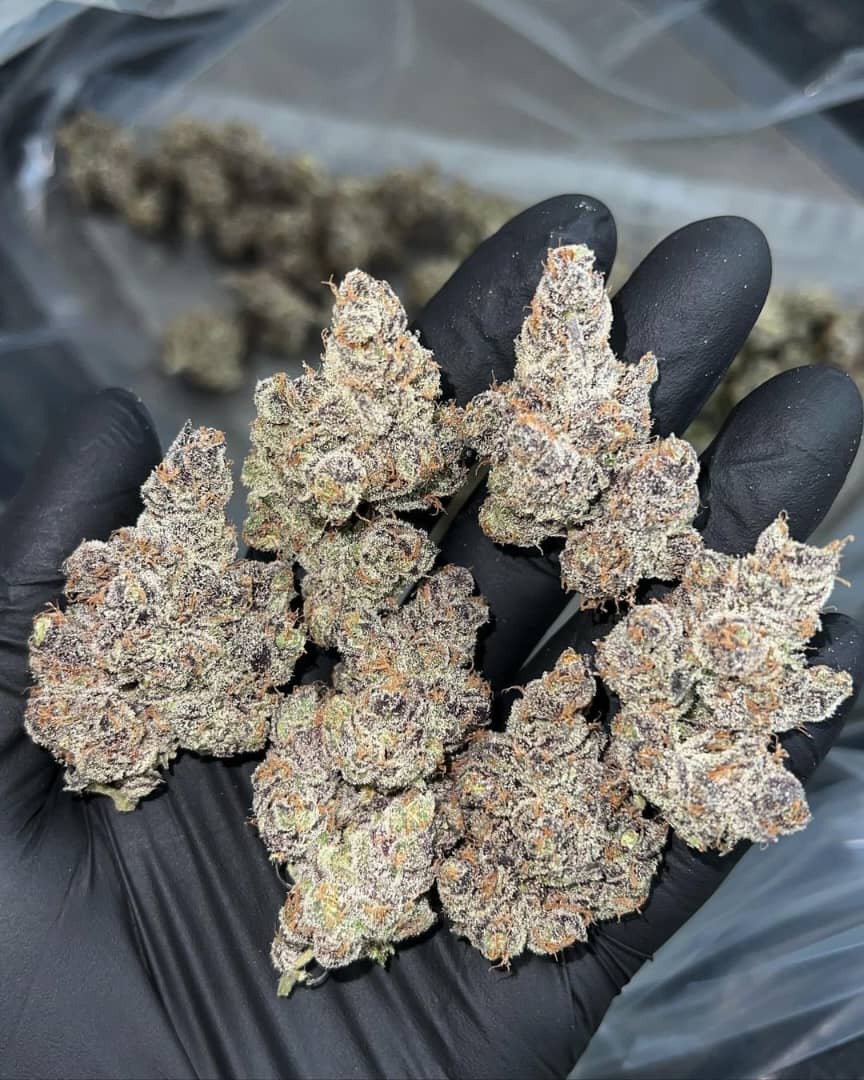 /apple-fritter-strain/