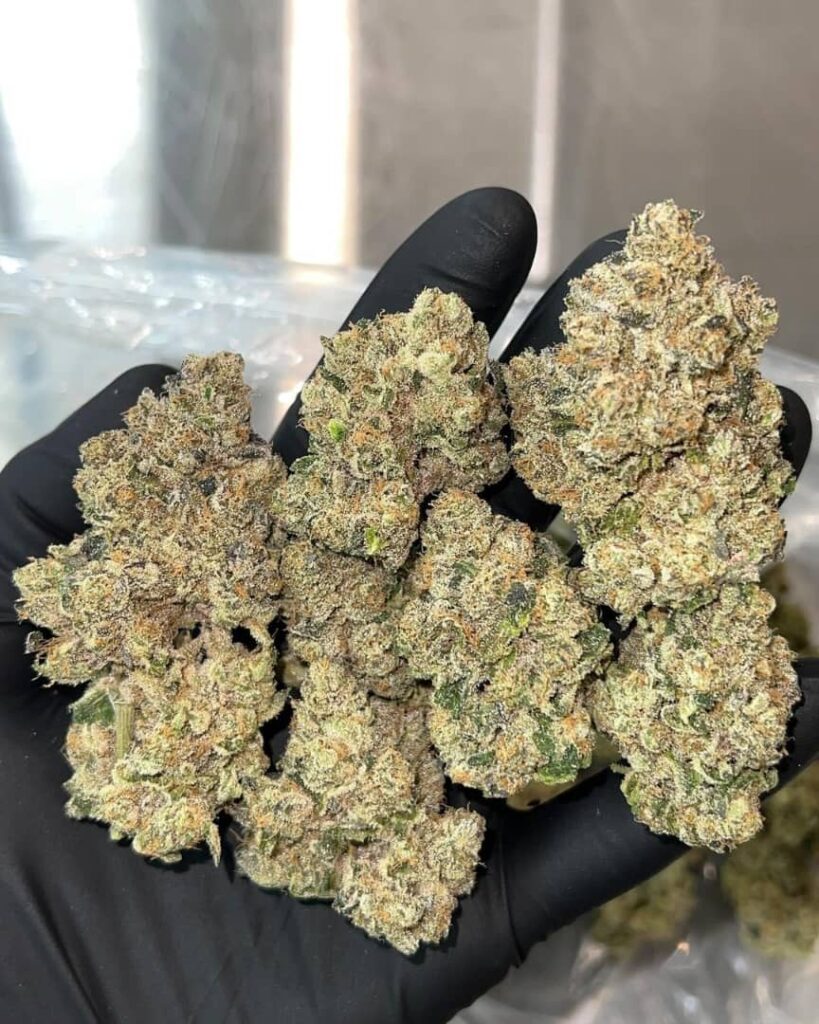 /zookies/