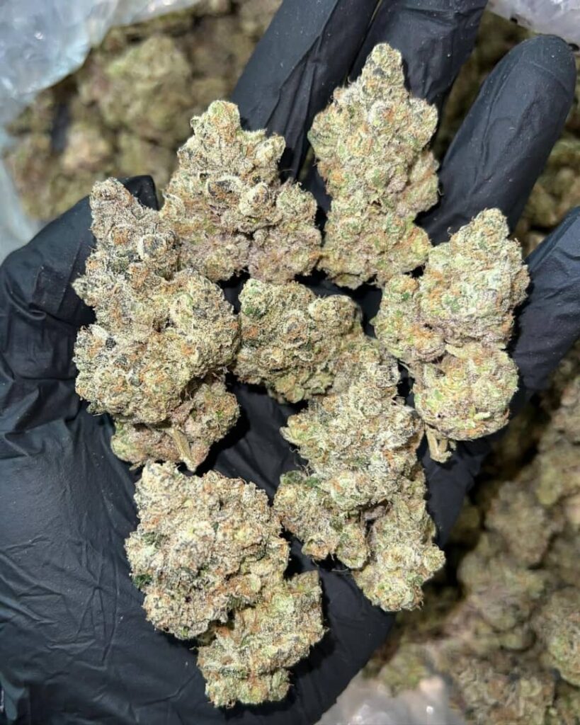 Dosidos