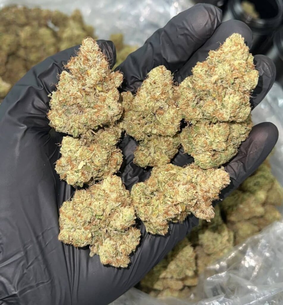 /sfv-og-strain/