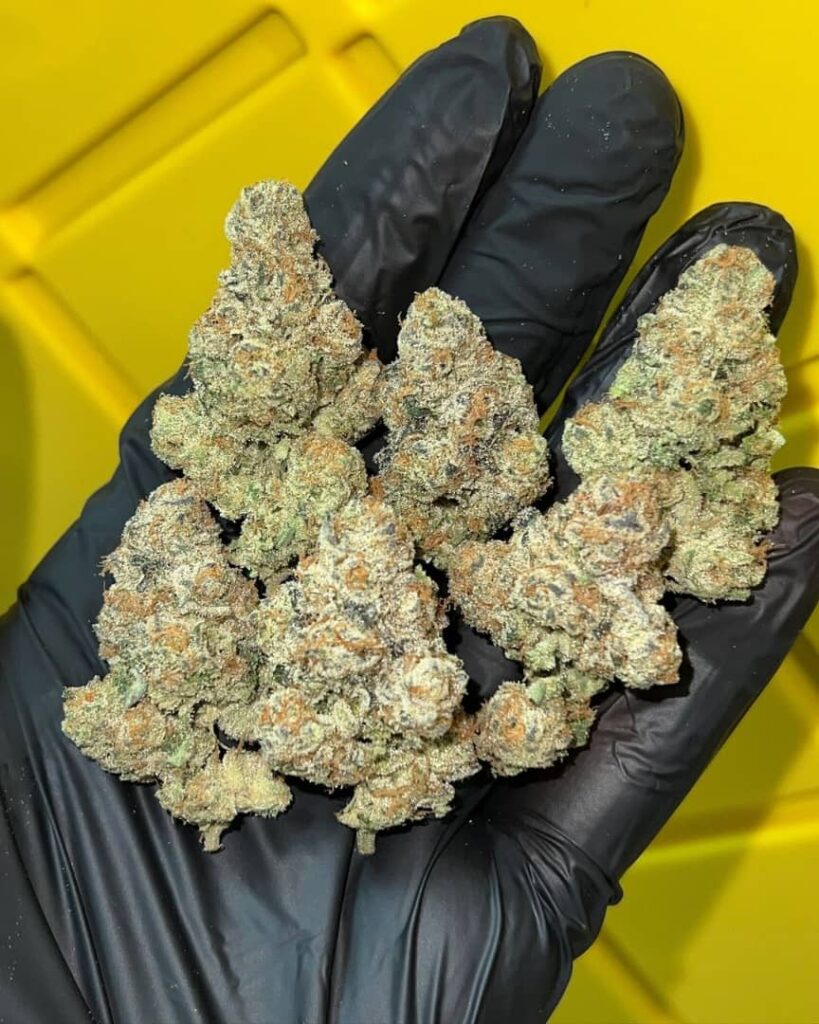 /la-kush-cake-strain/
