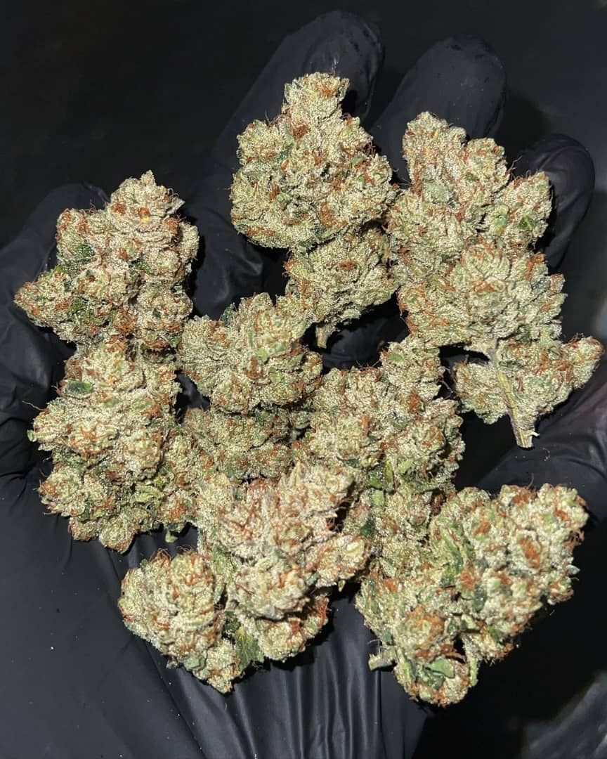 /skywalker-og-strain/