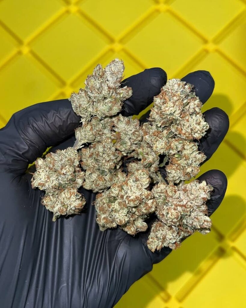 /valley-og-strain/