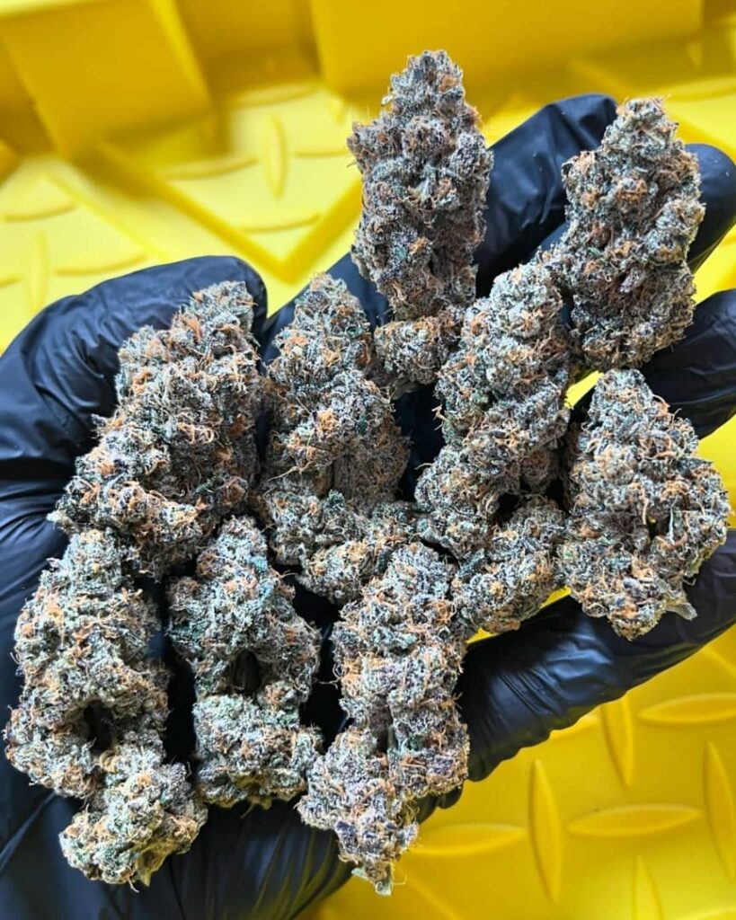 /zerealz-strain/