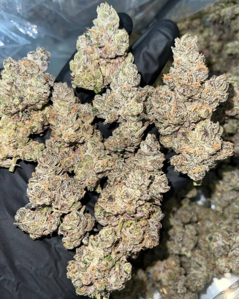 /apples-and-bananas-strain/
