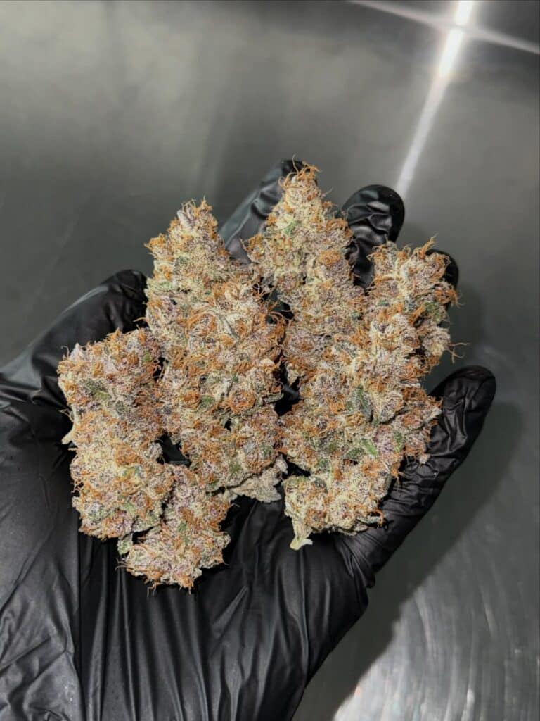/red-hotz-strain-genetics